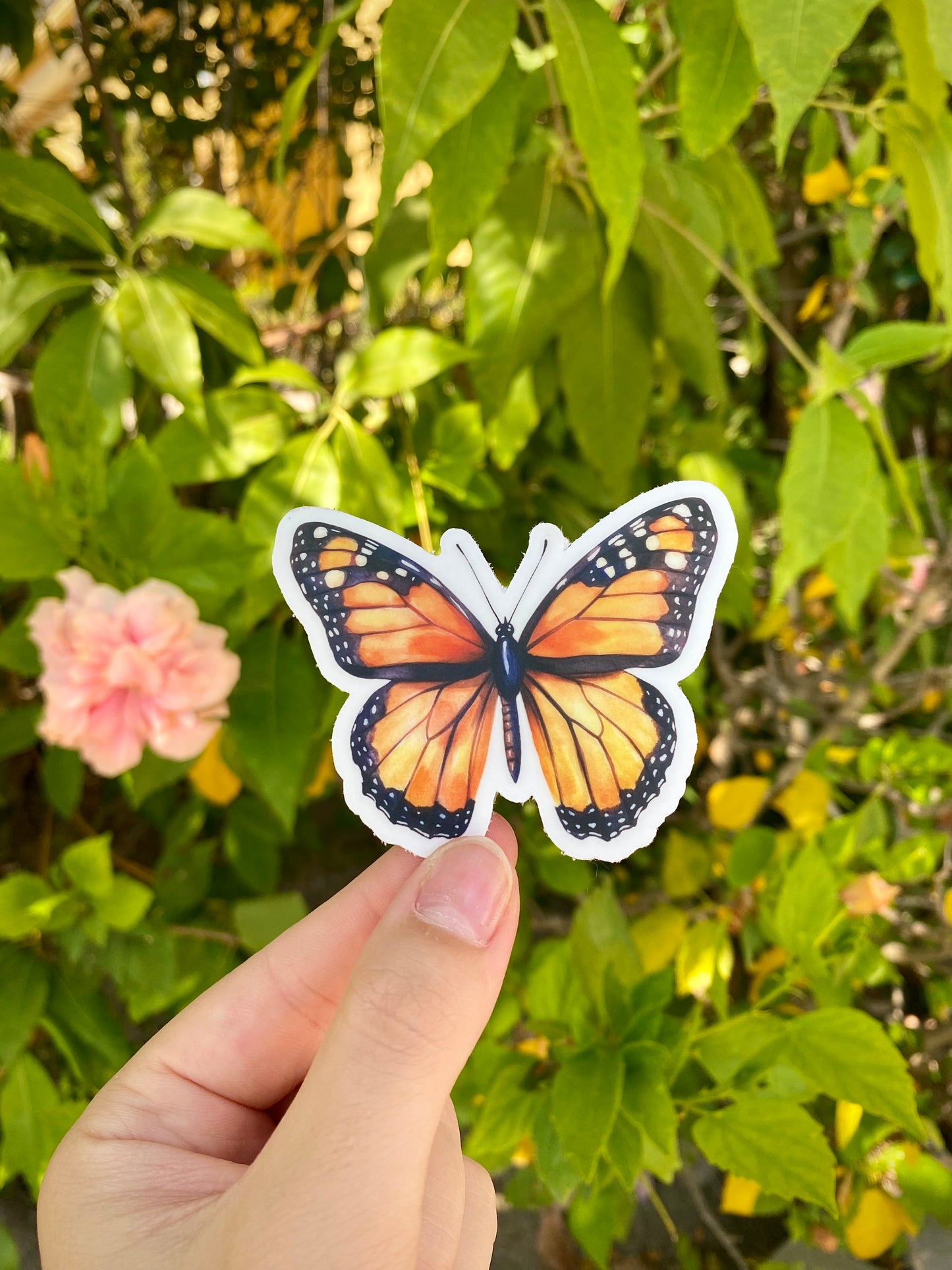 Clear Monarch Butterfly Sticker, 3x2.4in