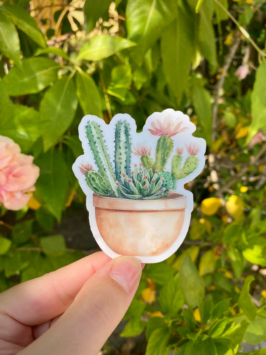 Clear Cactus Sticker, 2.6x3in