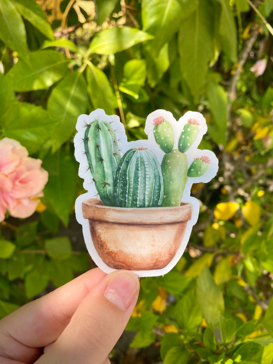 Clear Cactus Sticker, 2.6x3in