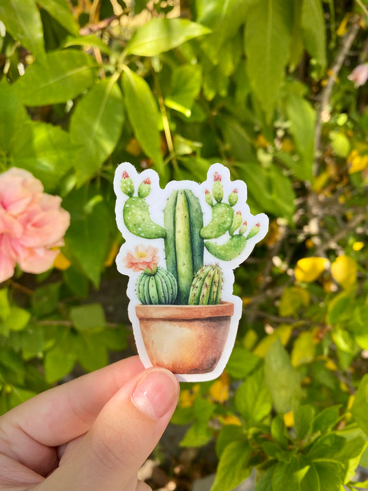 Clear Cactus Sticker, 2.1x3in