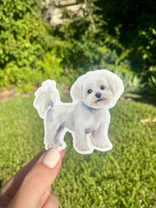 Classic Maltese Sticker, 3x2.5in