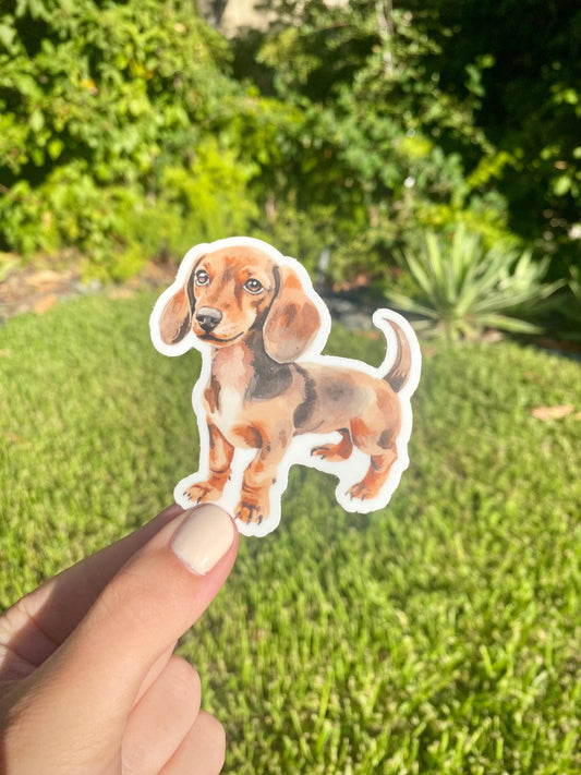 Classic Dachshund Sticker, 2.8x3in