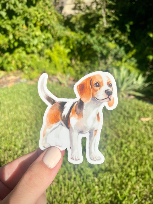 Classic Beagle Sticker, 2.7x3in