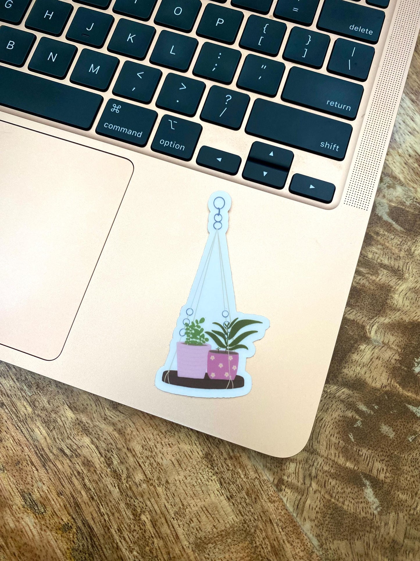 Clear Hanging Plants Sticker (Pink Pots), 1.6x3in