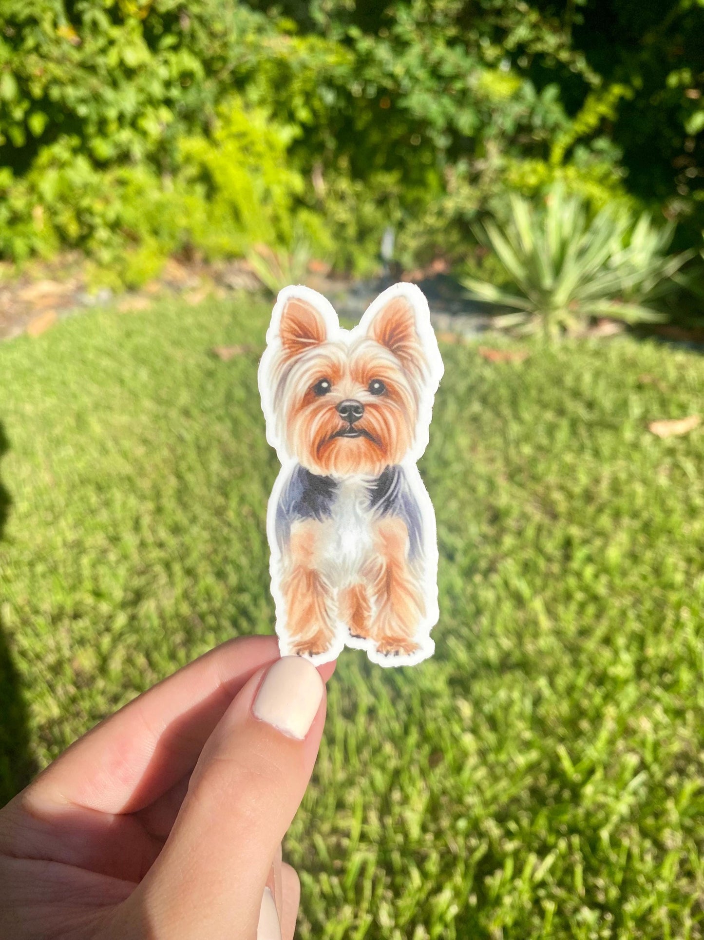 Classic Yorkshire Terrier Sticker, 1.4x3in