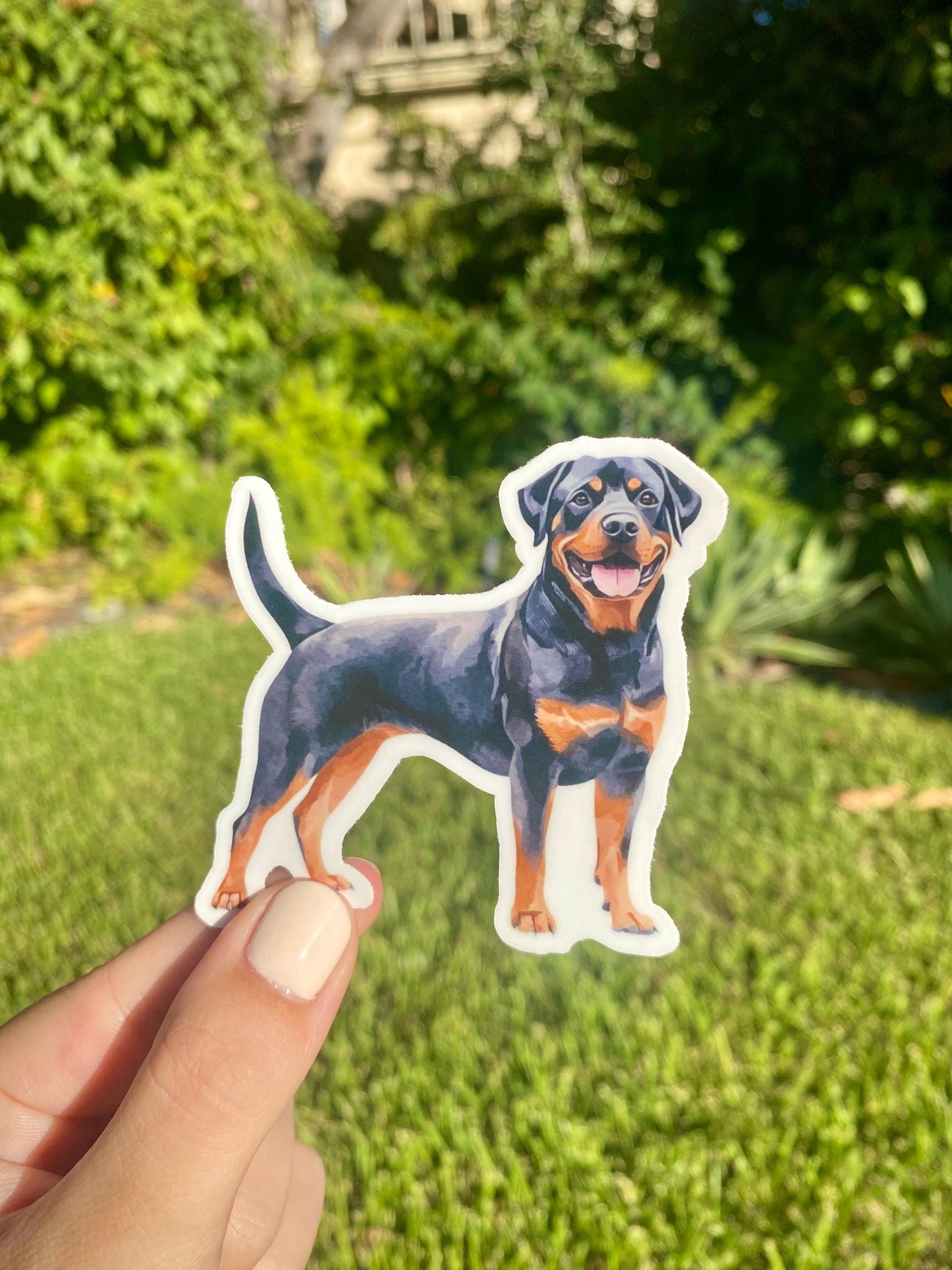 Classic Rottweiler Sticker, 3x2.9in