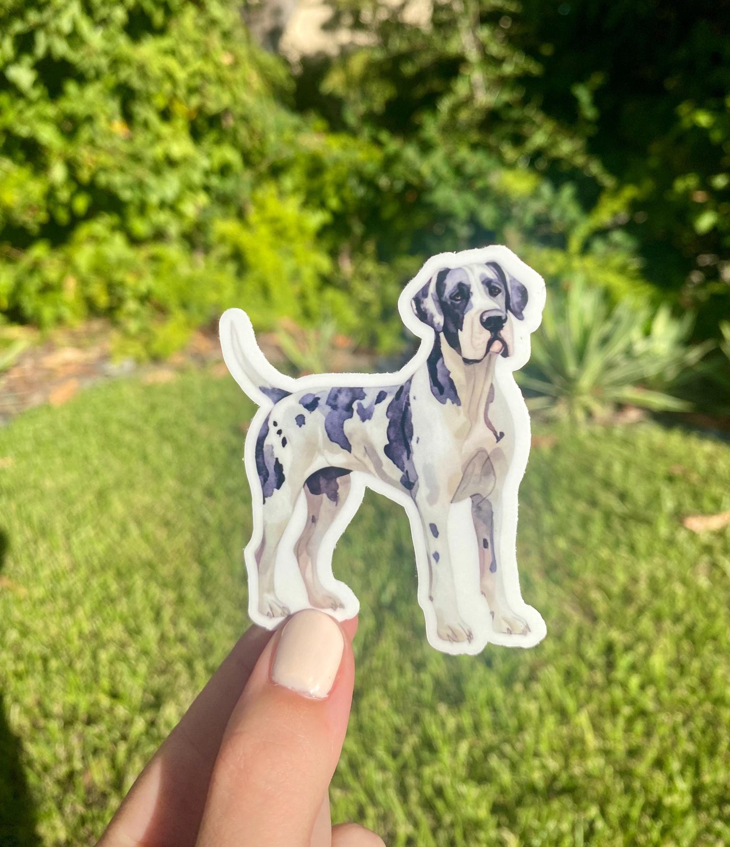 Classic Great Dane Sticker, 2.4x3in