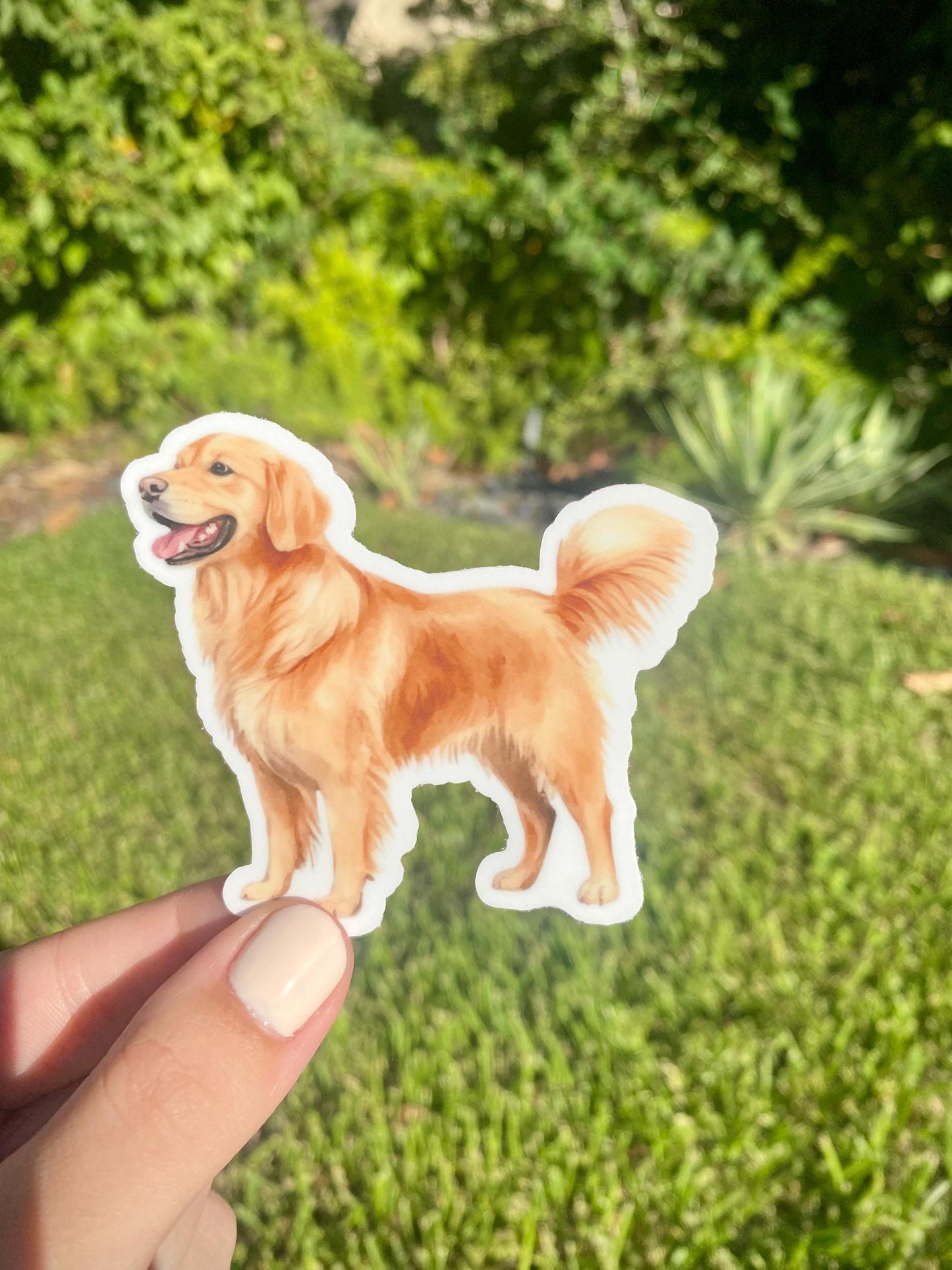 Classic Golden Retriever Sticker, 3x2.8in