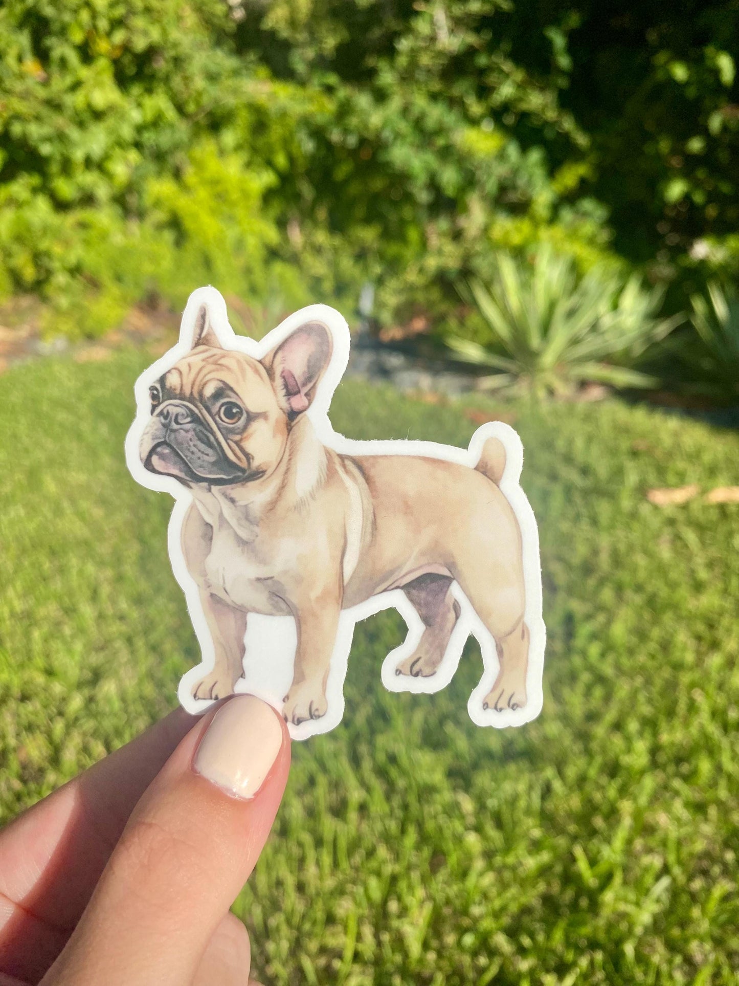 Classic French Bulldog Sticker, 2.7x3in