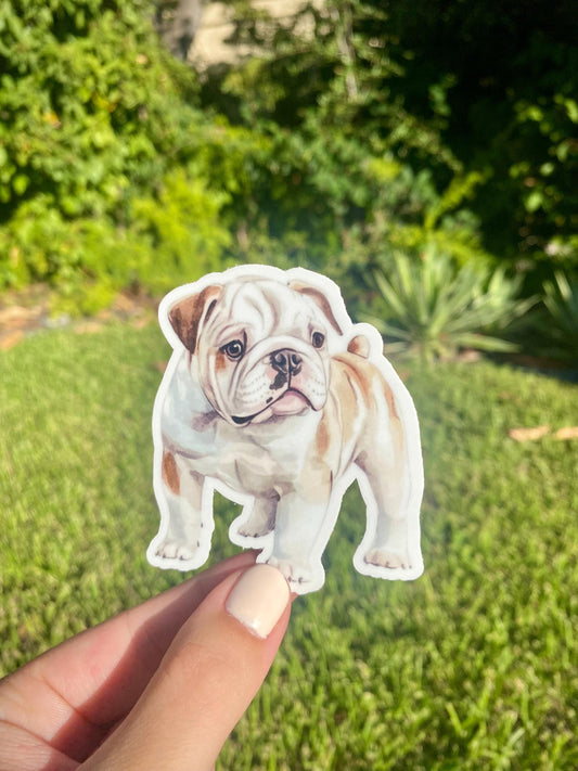 Classic Bulldog Sticker, 2.6x3in