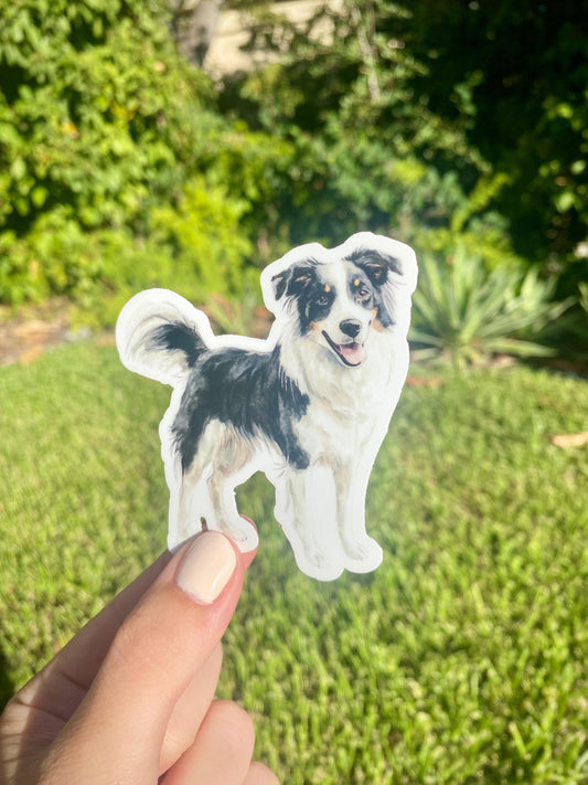 Classic Border Collie Sticker, 2.9x3in