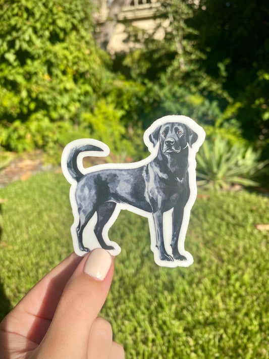 Classic Black Lab Sticker, 2.8x3in